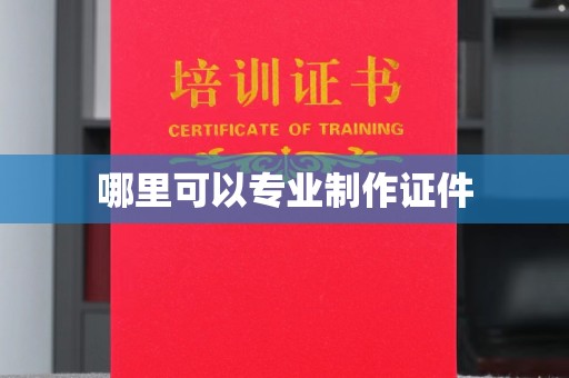 芳苑哪里可以专业制作证件