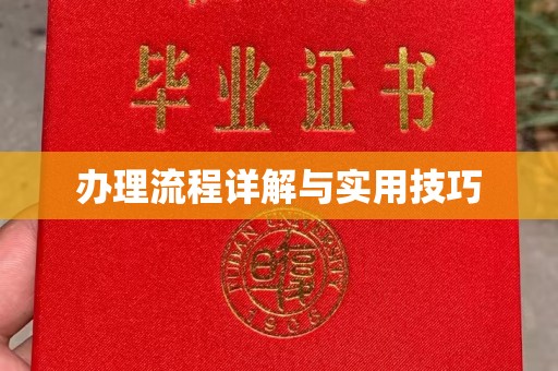 芳苑办理流程详解与实用技巧