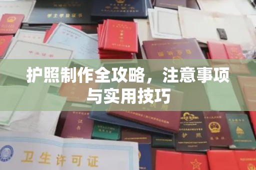 芳苑护照制作全攻略，注意事项与实用技巧