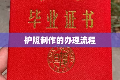 芳苑护照制作的办理流程