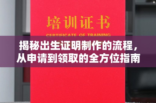芳苑揭秘出生证明制作的流程，从申请到领取的全方位指南
