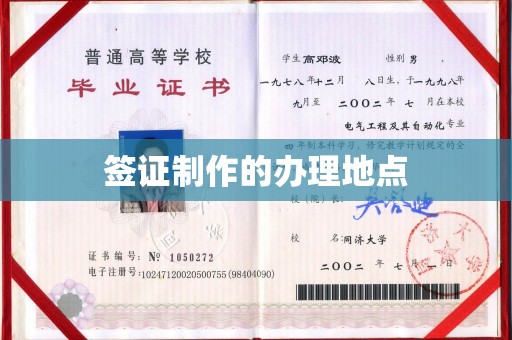 芳苑签证制作的办理地点