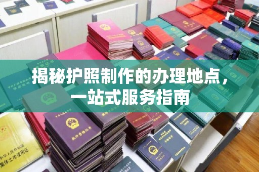 芳苑揭秘护照制作的办理地点，一站式服务指南
