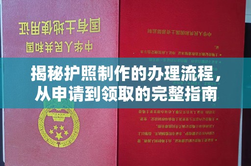 芳苑揭秘护照制作的办理流程，从申请到领取的完整指南