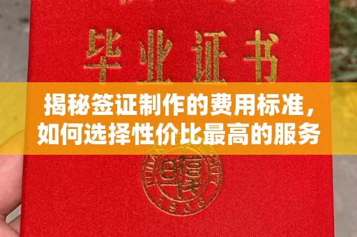 芳苑揭秘签证制作的费用标准，如何选择性价比最高的服务？
