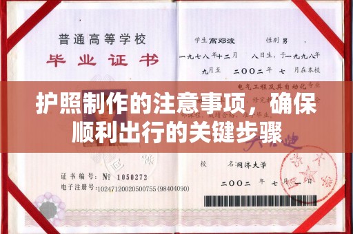 芳苑护照制作的注意事项，确保顺利出行的关键步骤