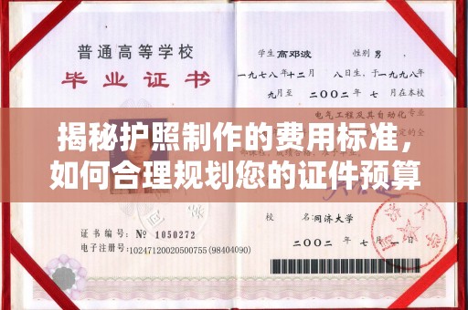 芳苑揭秘护照制作的费用标准，如何合理规划您的证件预算？