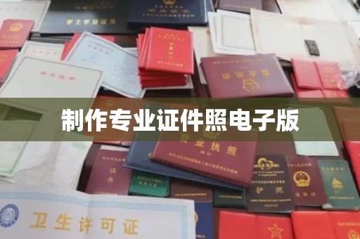芳苑制作专业证件照电子版