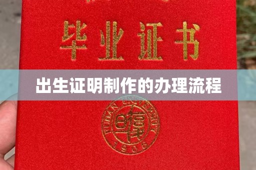 芳苑出生证明制作的办理流程