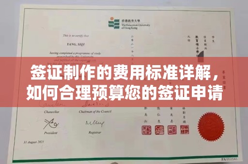 芳苑签证制作的费用标准详解，如何合理预算您的签证申请成本