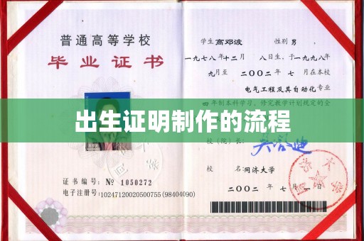 芳苑出生证明制作的流程